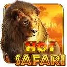 Hot Safari game screenshot